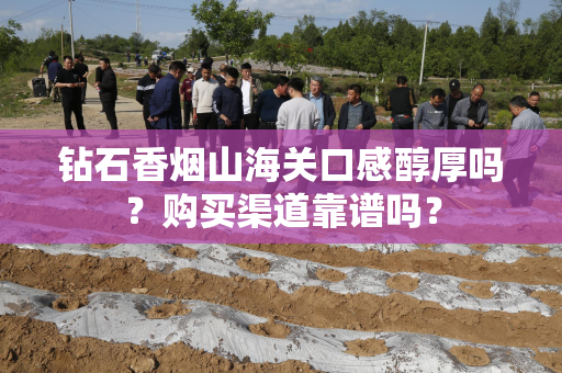 钻石香烟山海关口感醇厚吗？购买渠道靠谱吗？