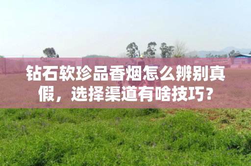 钻石软珍品香烟怎么辨别真假，选择渠道有啥技巧？